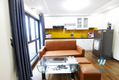 Brand New One Bedroom Apartment For Rent in Ba Dinh Area